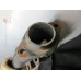 07W021 Left Exhaust Manifold For 03-08 Dodge Ram 1500  5.7 53022195AE